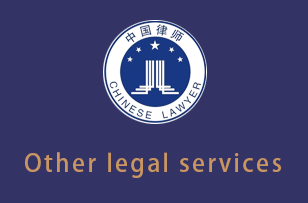 文山Other legal services